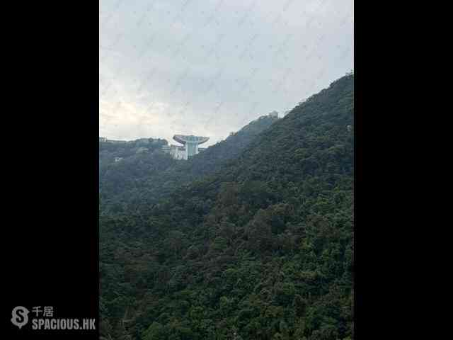 中半山 - 殷豪阁 20