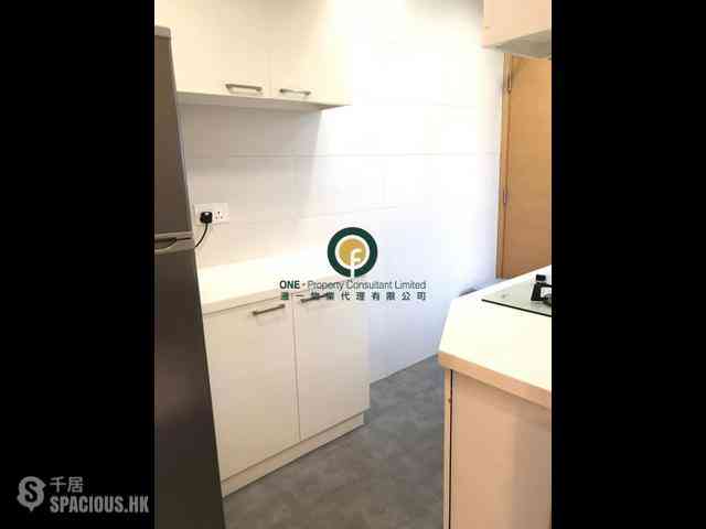 Sai Ying Pun - High Park 99 11