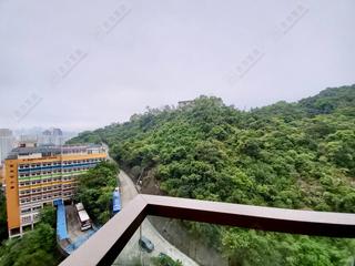 Shau Kei Wan - Island Garden 04