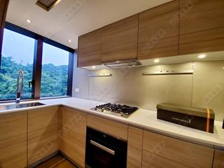 Shau Kei Wan - Island Garden 10