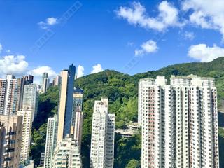 Tai Hang - The Warren 03