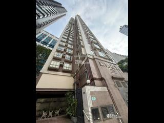 Sai Ying Pun - Macro Garden 06
