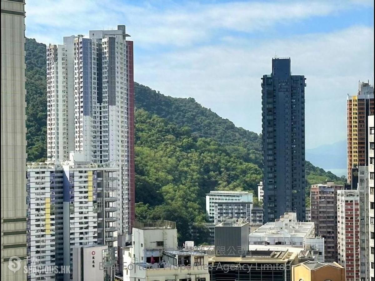 堅尼地城 - 桃李園 01