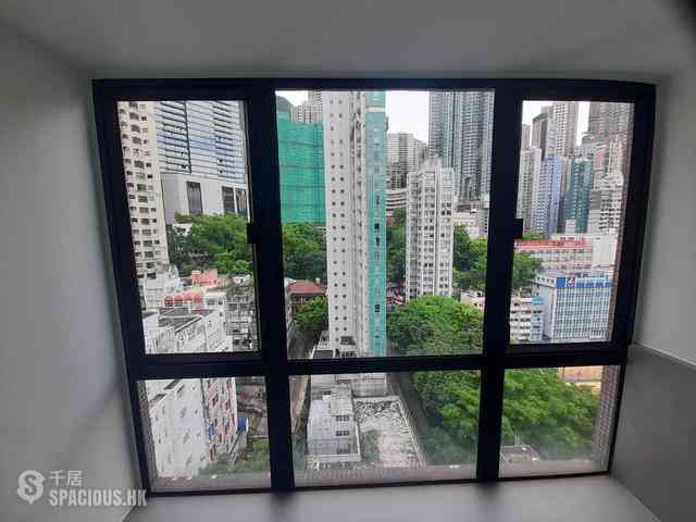 Poho - Rich View Terrace 07
