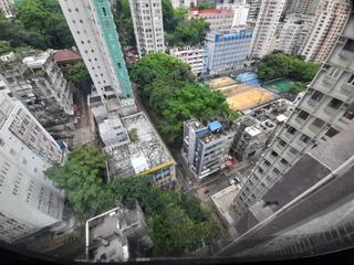Poho - Rich View Terrace 09