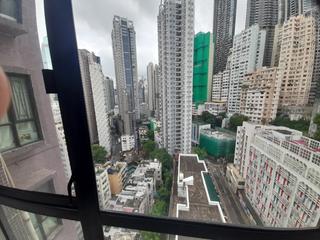 Poho - Rich View Terrace 11