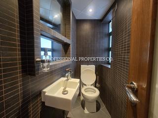 Mid Levels Central - Ivory Court 17