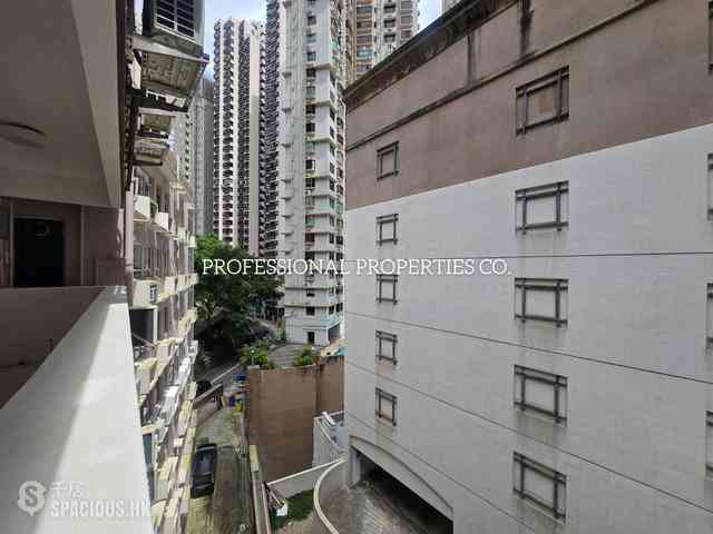 Mid Levels Central - Ivory Court 19