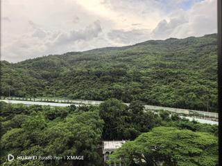 油柑头 - 恒丽园 09