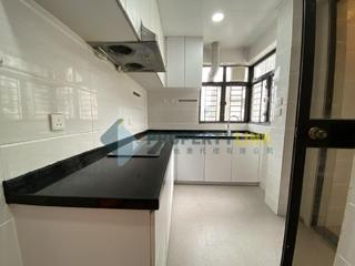 Mid Levels Central - Elegant Terrace 06