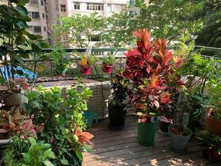 西半山 - 俊傑花園 06