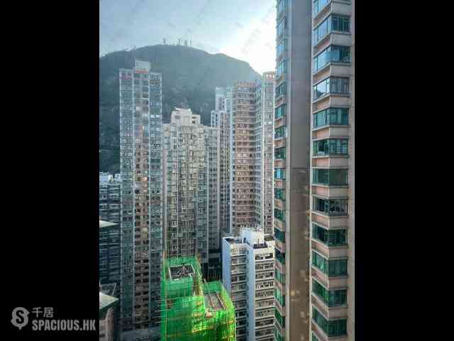 中半山 - 高云台 08