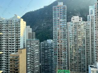 中半山 - 高云台 11