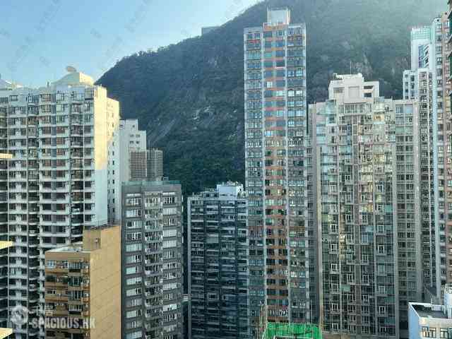 中半山 - 高云台 11