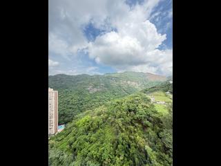Tai Hang - Flora Garden 02
