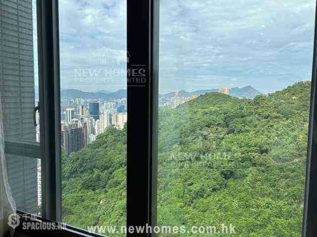 Tai Hang - Serenade 04