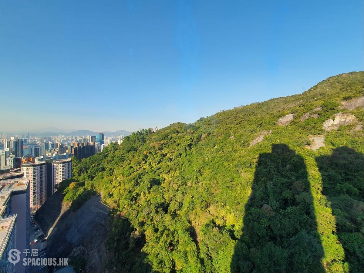 Tai Hang - Serenade 01
