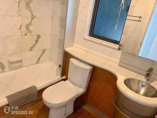 Mid Levels Central - Palatial Crest 11