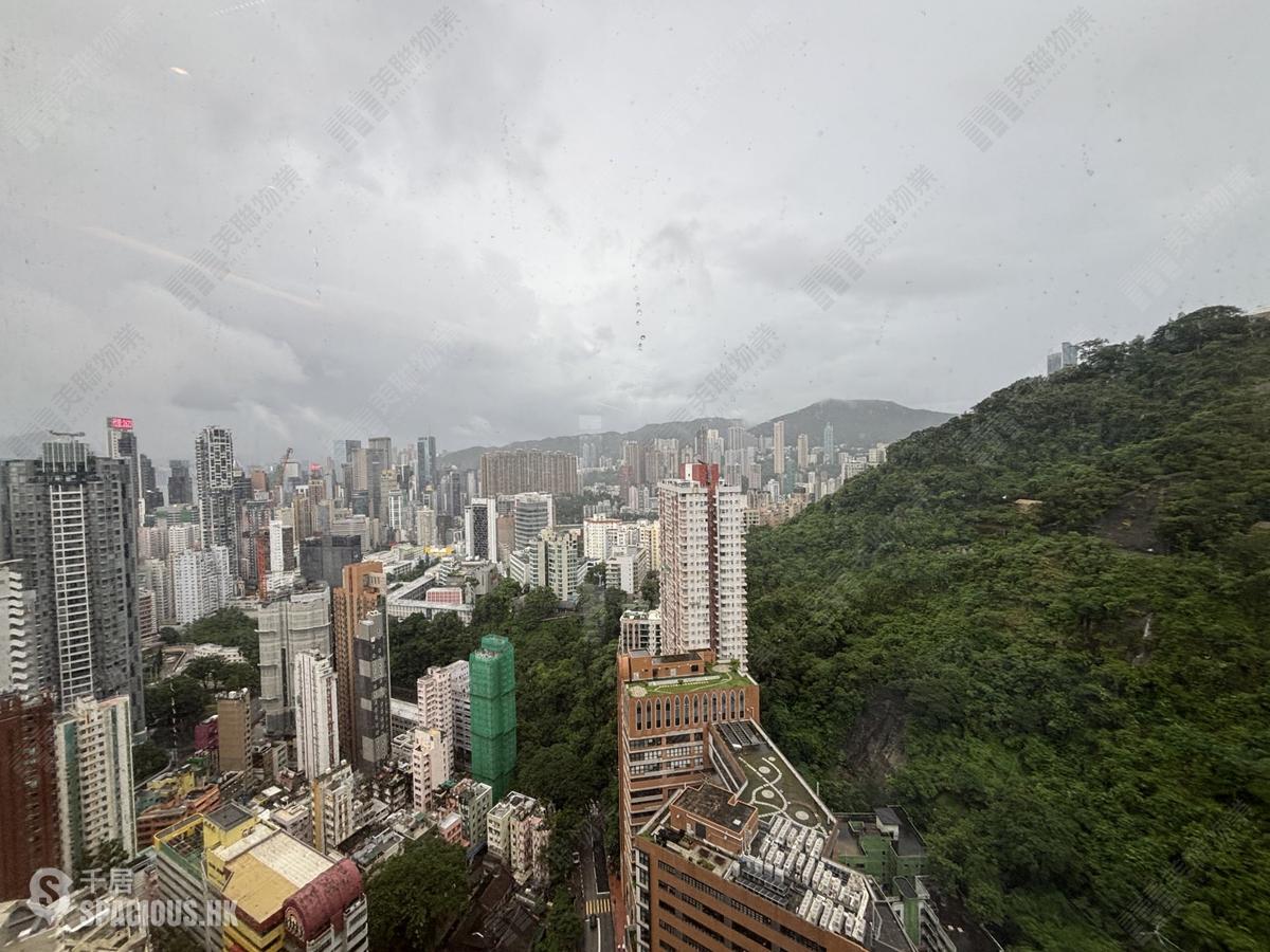 東半山 - 竹林苑74号 01