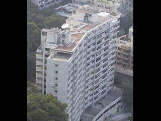 司徒拔道 - 紀園 06