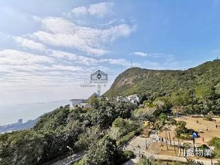 The Peak - The Mount Austin 03