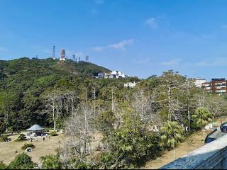 The Peak - The Mount Austin 09