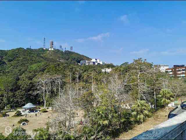 山顶 - The Mount Austin 09
