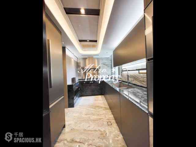 中半山 - 21 Borrett Road 1期 06