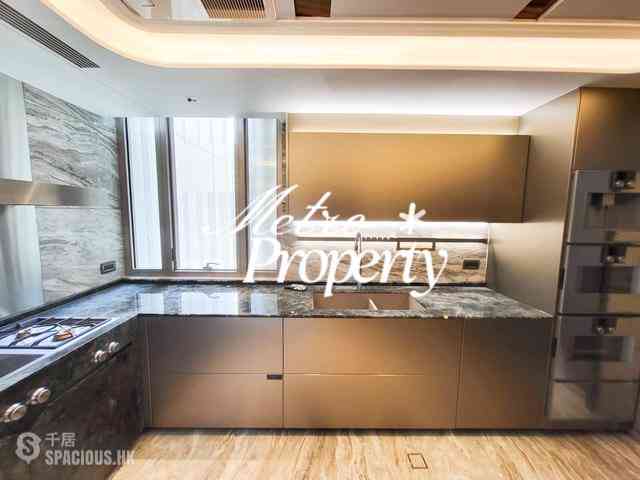 中半山 - 21 Borrett Road 1期 07
