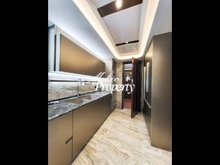 中半山 - 21 Borrett Road 1期 11