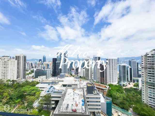 中半山 - 21 Borrett Road 1期 16