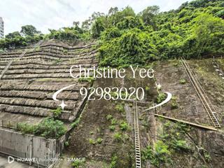 Stubbs Road - Mandarin Villa 03