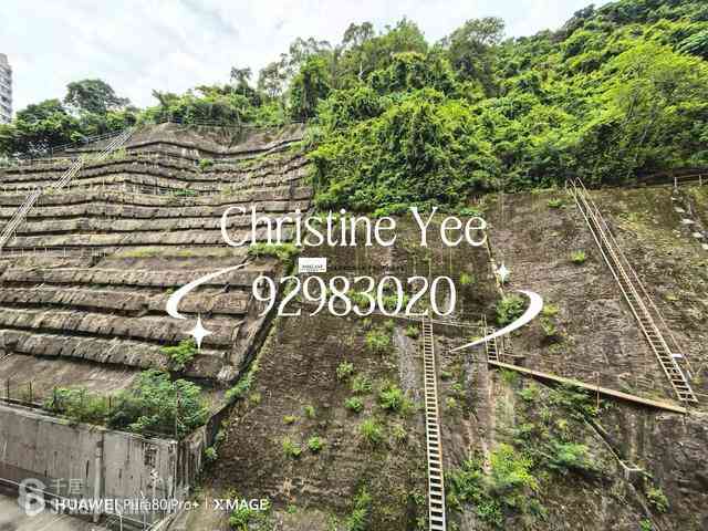 Stubbs Road - Mandarin Villa 03