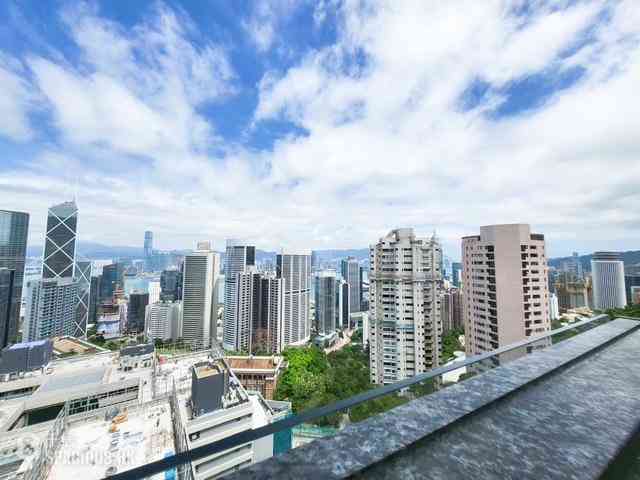 中半山 - 21 Borrett Road 1期 01