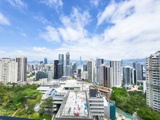 中半山 - 21 Borrett Road 1期 12