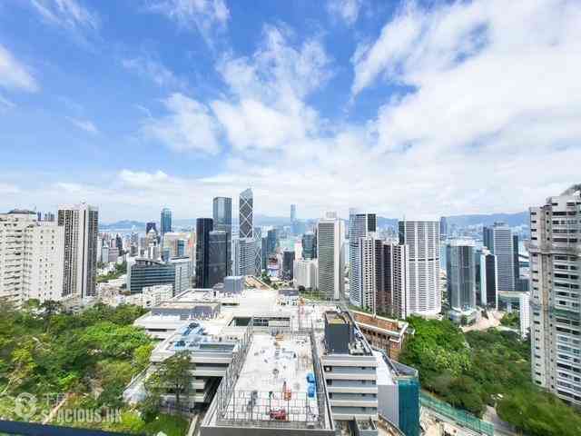 中半山 - 21 Borrett Road 1期 12