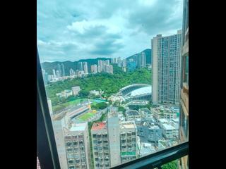 Leighton Hill - The Leighton Hill 14