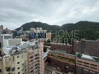 石塘咀 - 尚嶺 11