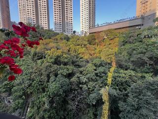 跑马地 - 金山花园 03
