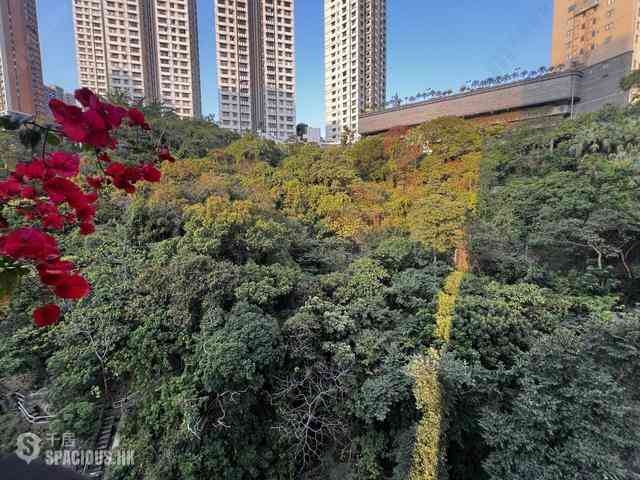 跑马地 - 金山花园 03