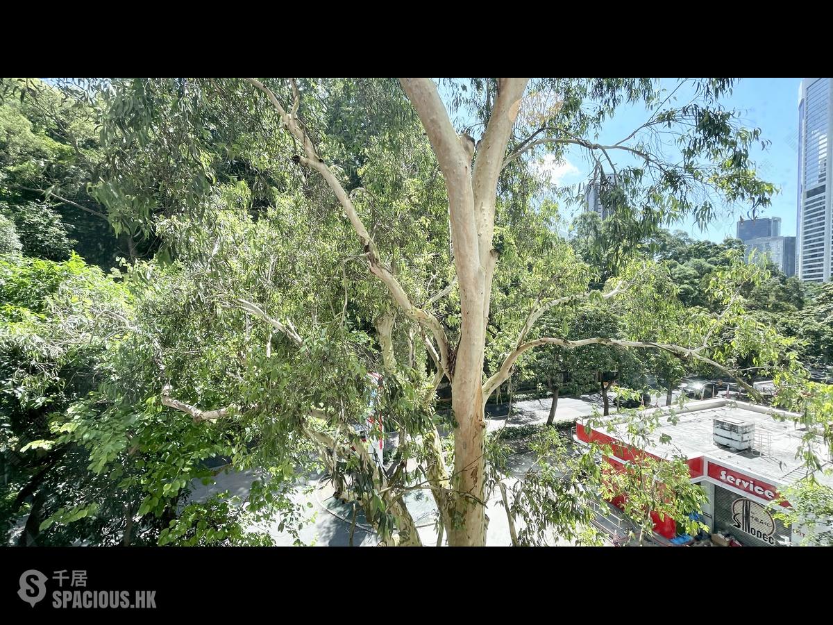 東半山 - 萬信台 01