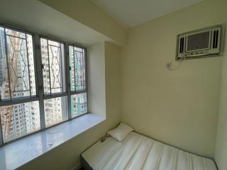 Sai Ying Pun - Macro Garden 12