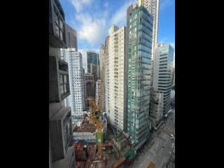 Sai Ying Pun - Macro Garden 14