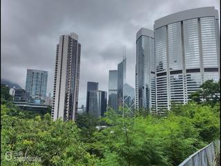 中半山 - 寶雲道16號 06