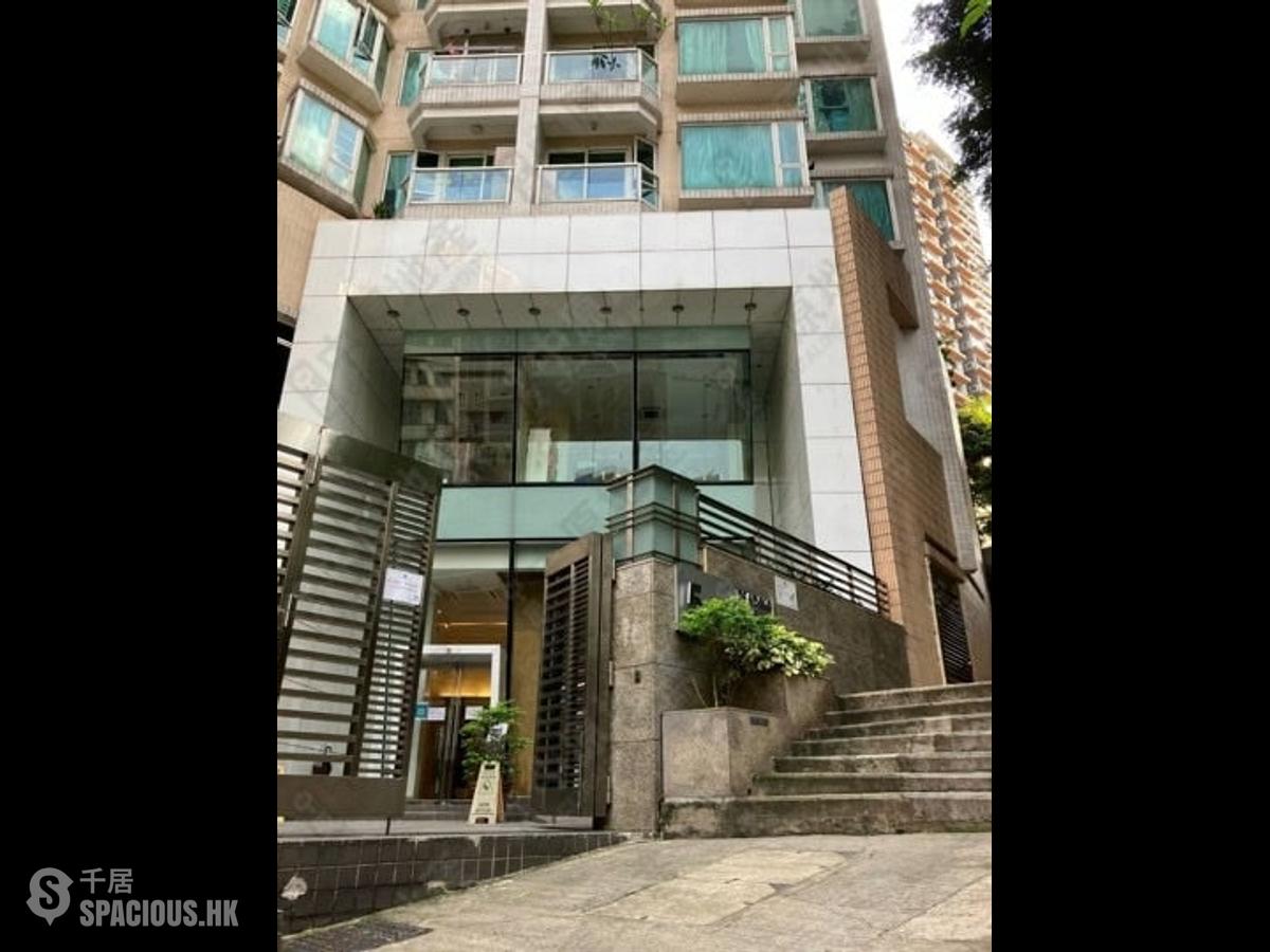 Sai Ying Pun - Reading Place 01