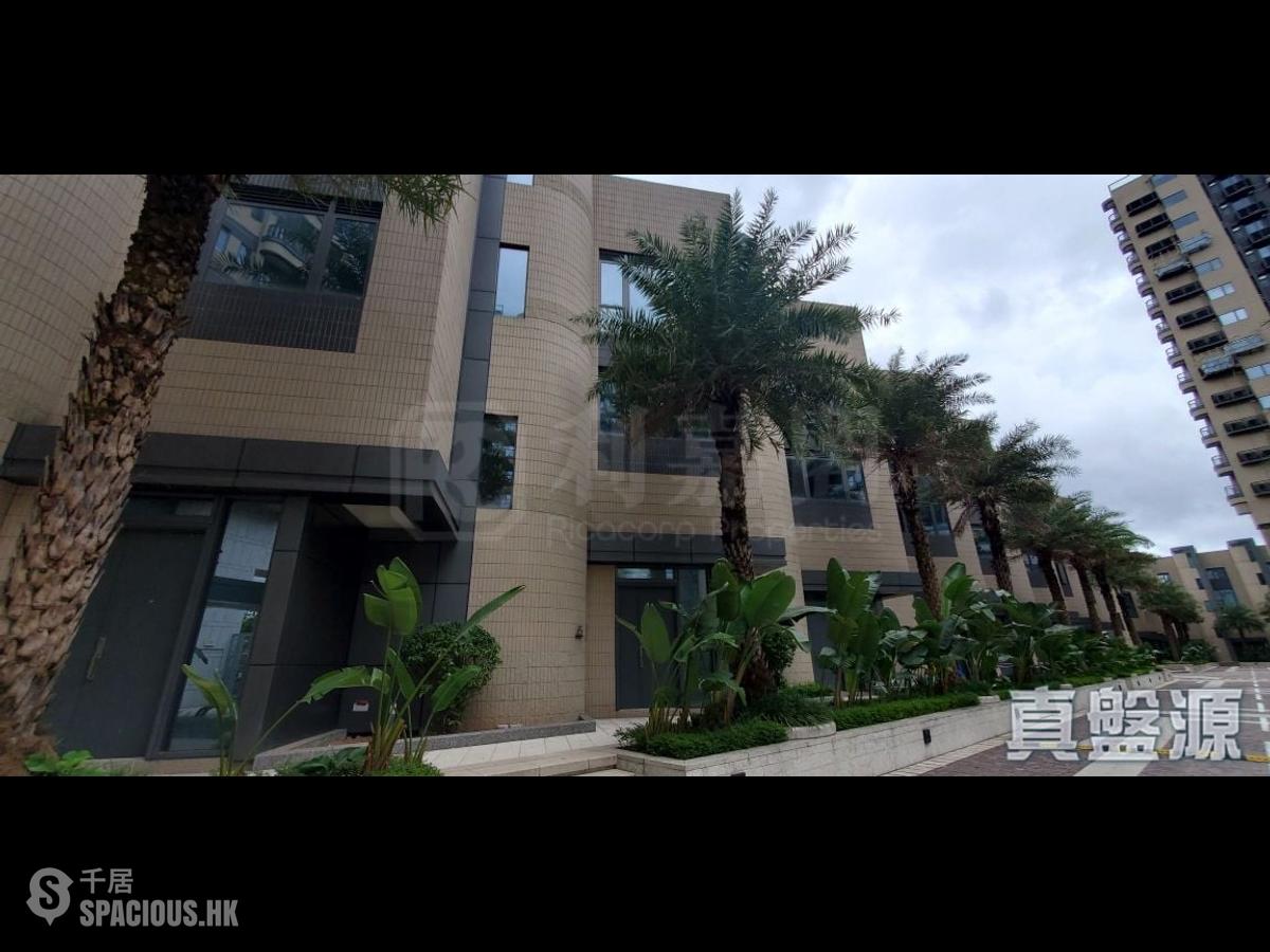 Tseung Kwan O - Alto Residences 01