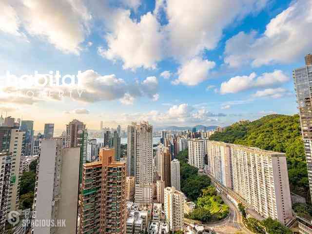 大坑 - 春晖8号 04