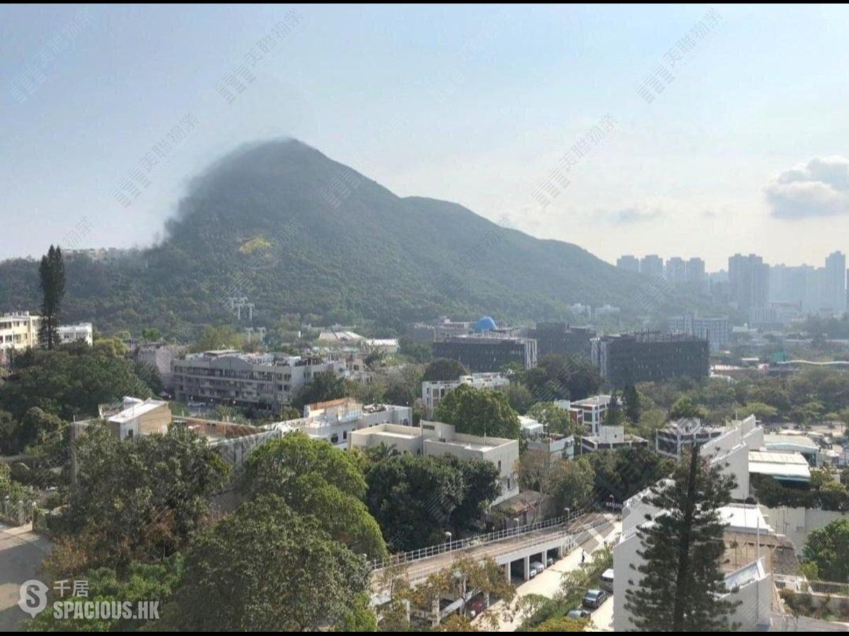 壽臣山 - Shouson Peak 01