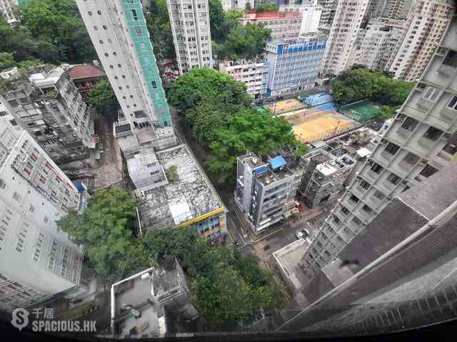Poho - 豪景臺 09