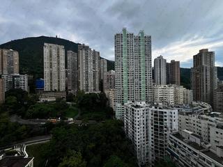 西半山 - 柏苑 14
